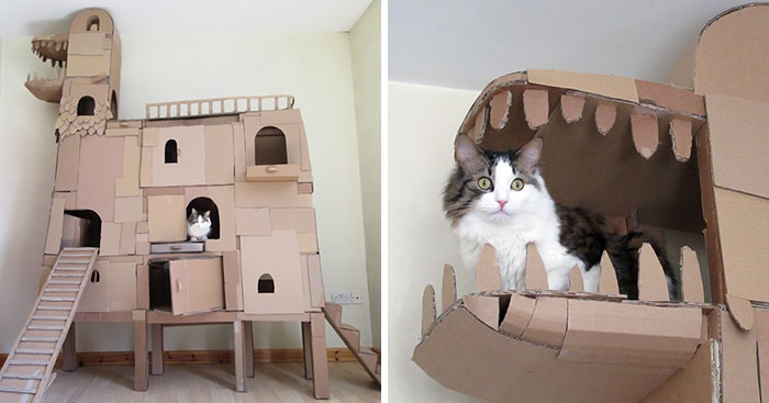 cardboard ark structure cat prefabcat coverimage - Dzielnik #11