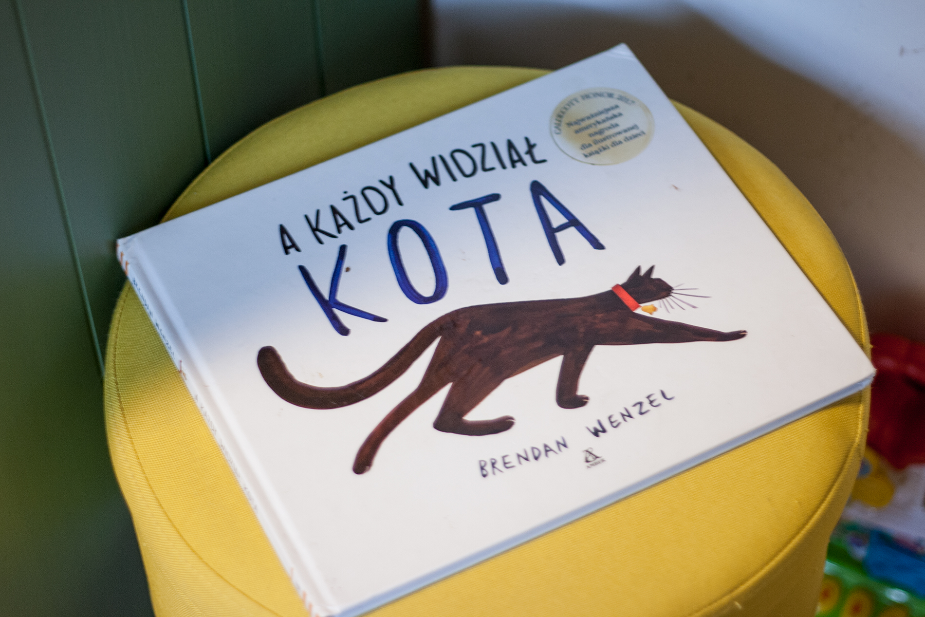 kota - Nasze ulubione książki o zwierzętach