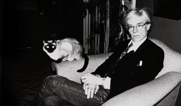 Andy Warhol cat - Dzielnik #32